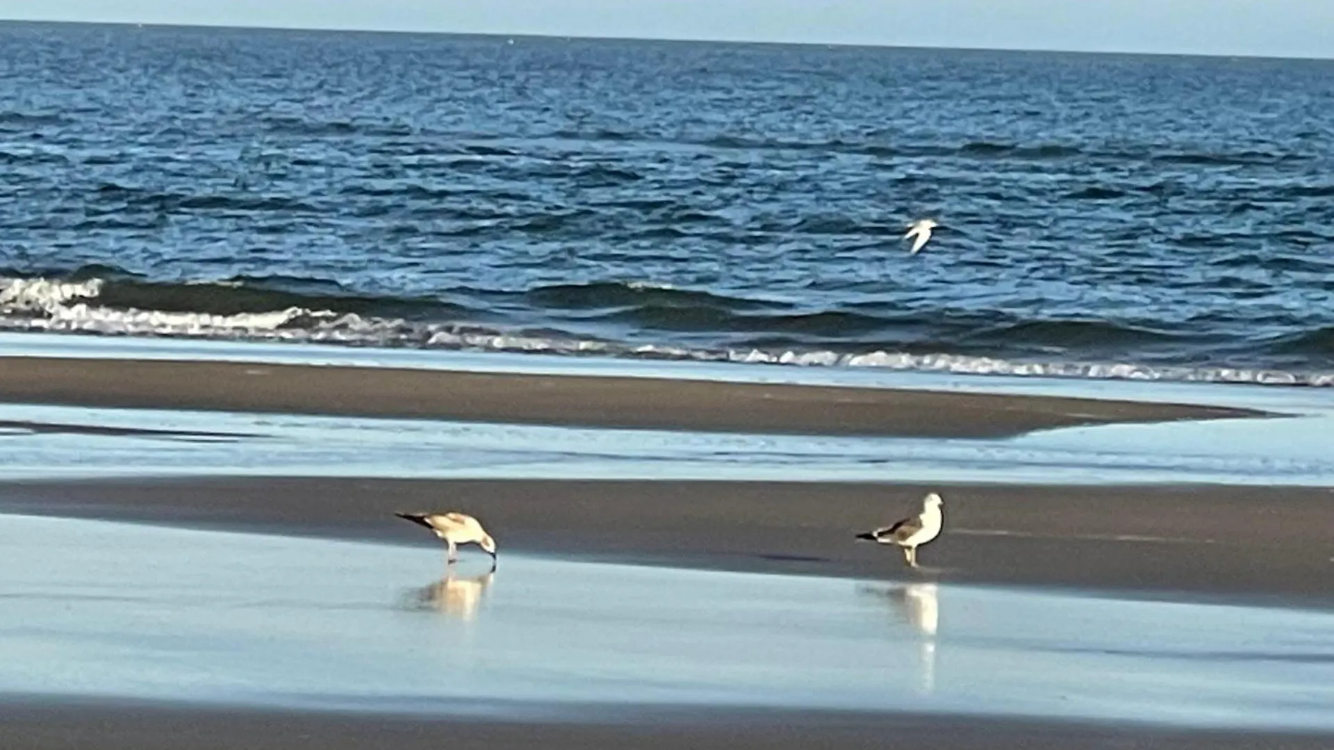 Los Flamencos II Isla Canela Ayamonte Apartman